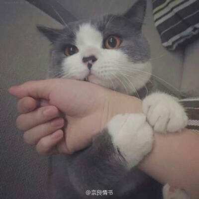 剑啸九州手机版下载
