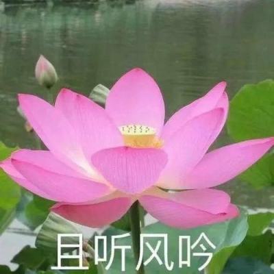 枪火战神果盘客户端下载