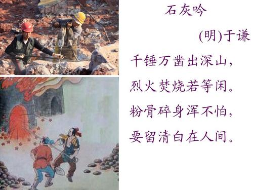 究极数码进化桃子版下载